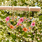 Peach blossom Heart Earrings.